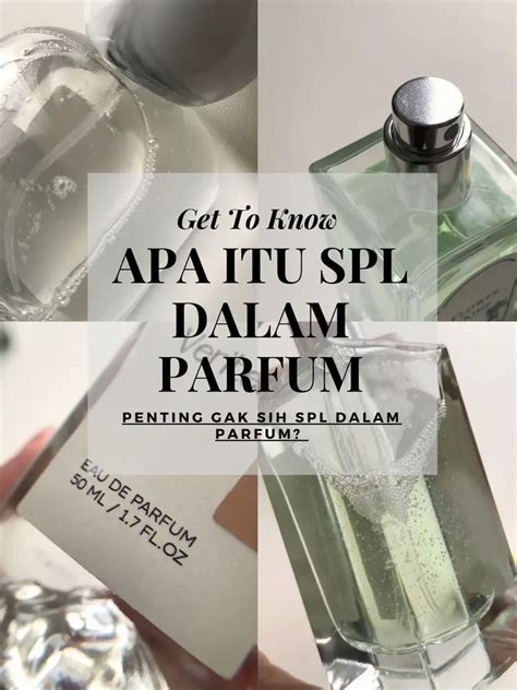 apa itu spl parfum